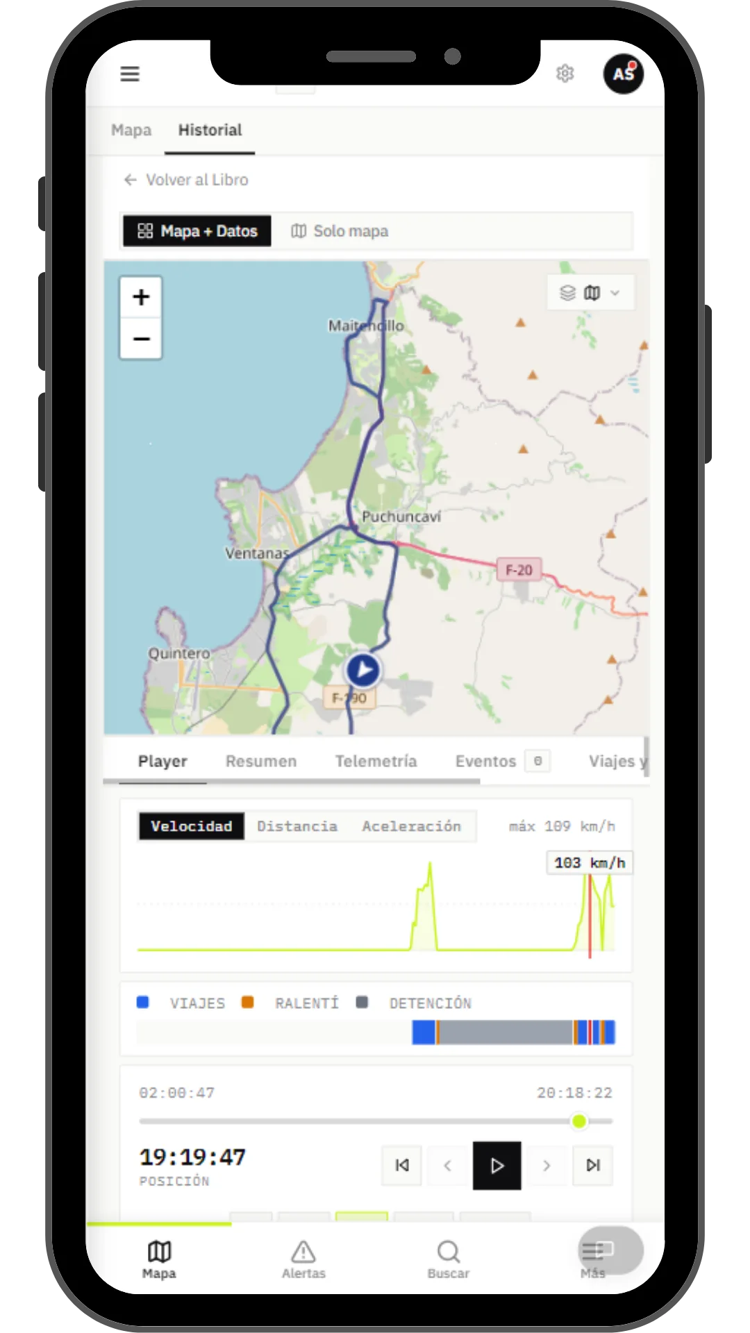 App de Rutio en celular con seguimiento en vivo